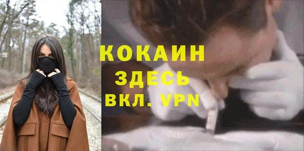 твердый Абинск