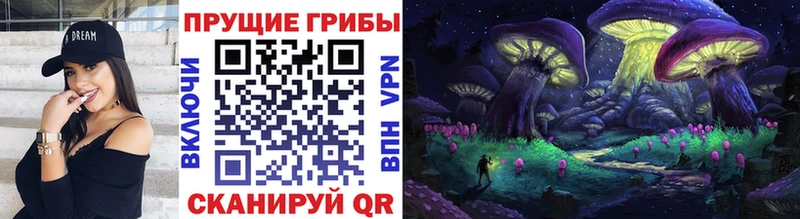закладка  MEGA ссылка  Галлюциногенные грибы Psilocybe  Райчихинск 